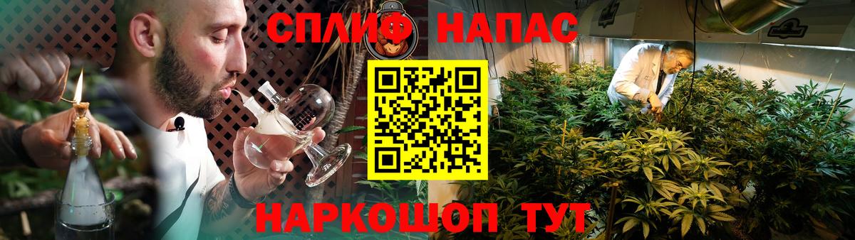 Конопля гибрид Трёхгорный
